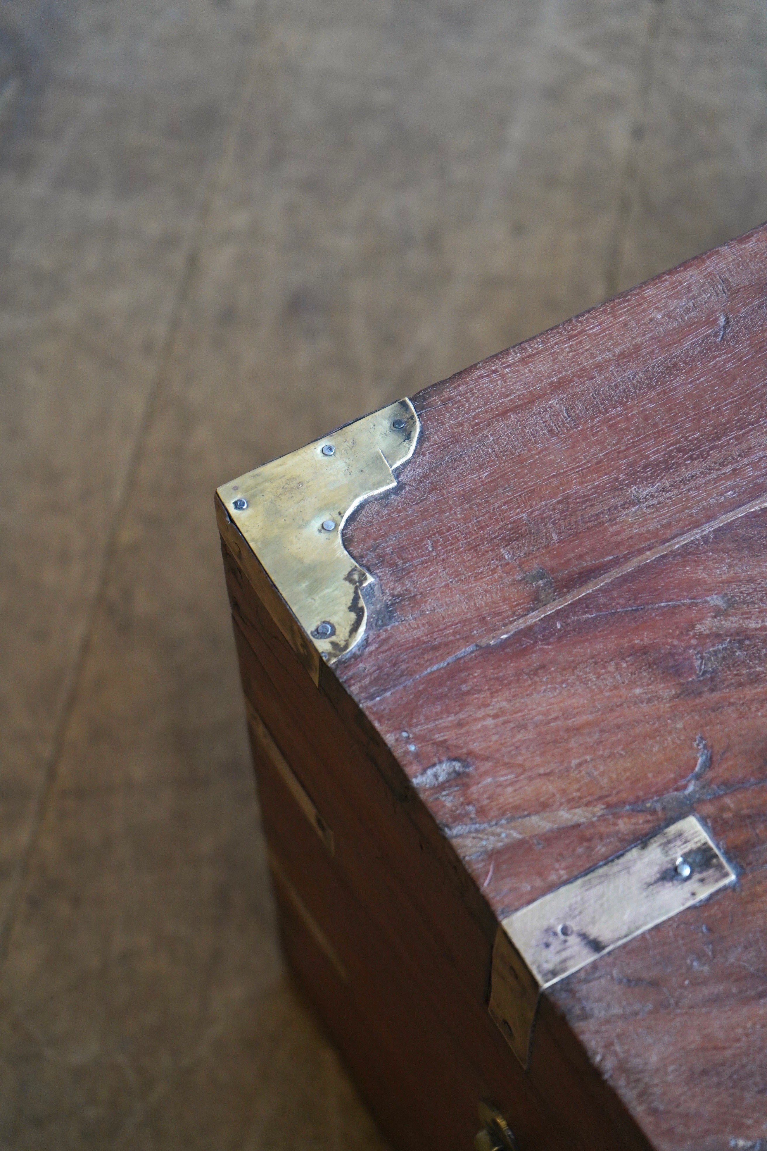 Indian Teak Trunk