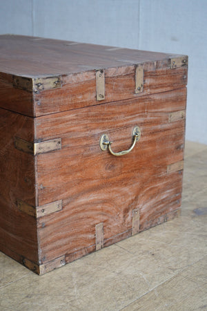 Indian Teak Trunk
