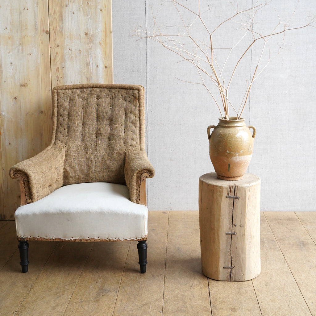 Elm Tree Stump