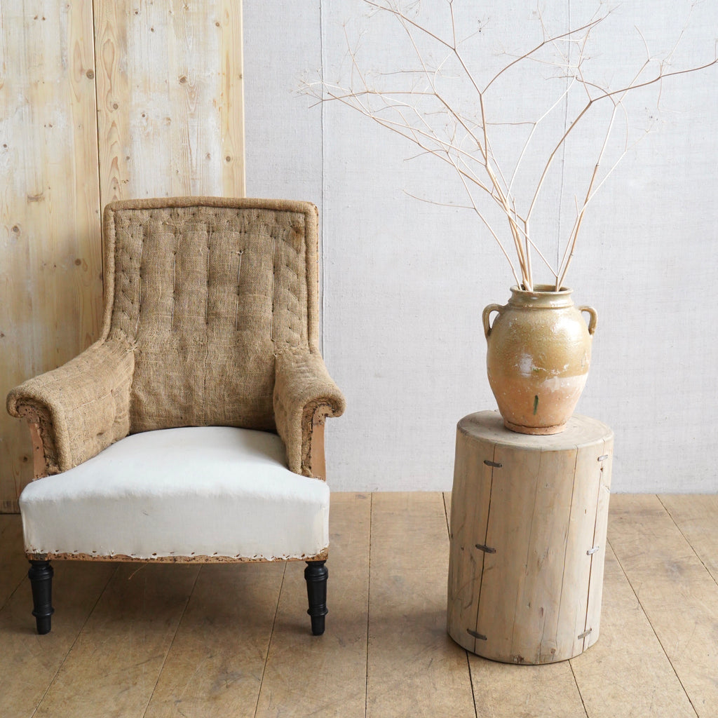Elm Tree Stump
