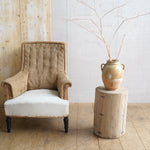 Elm Tree Stump