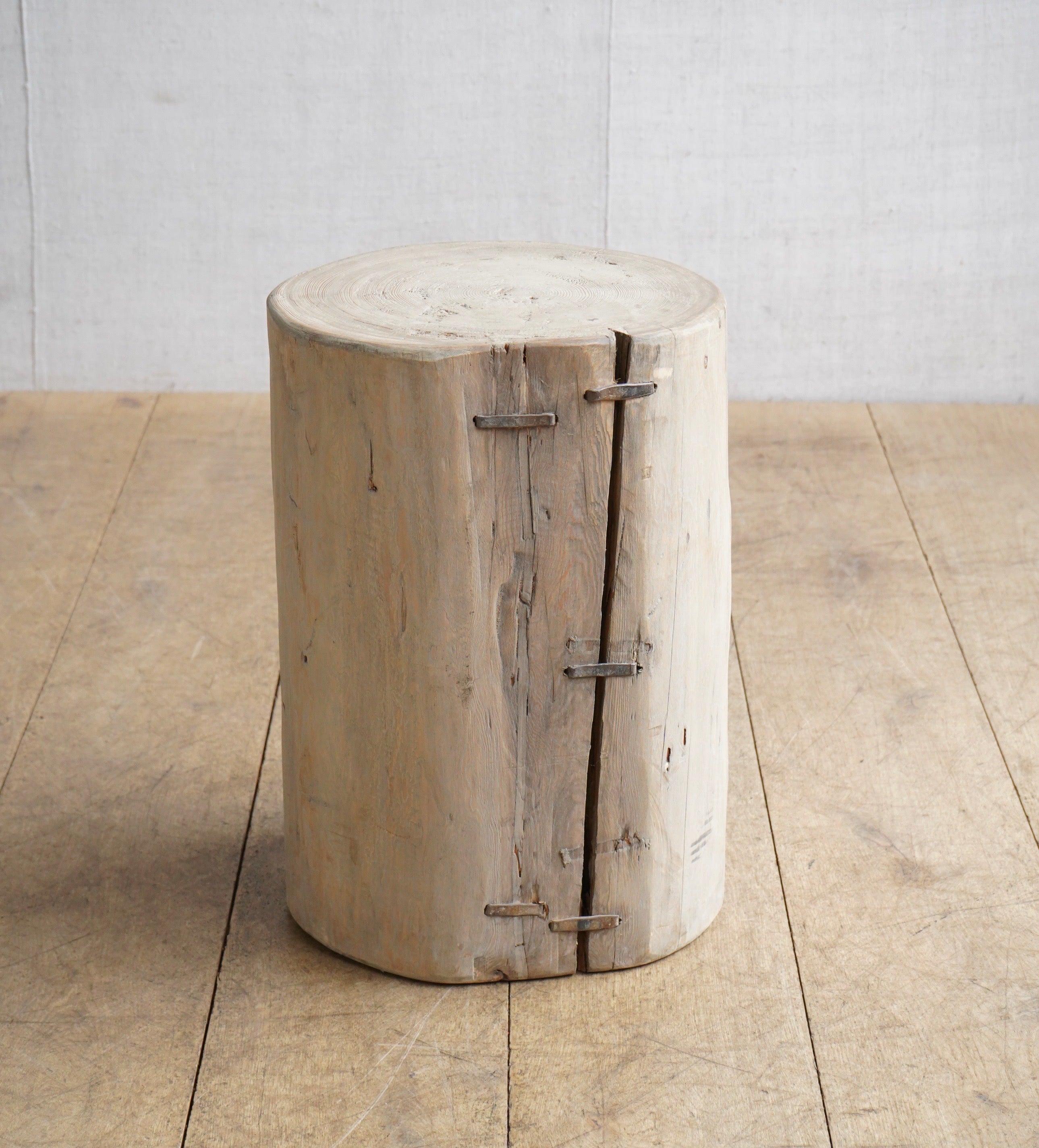 Elm Tree Stump