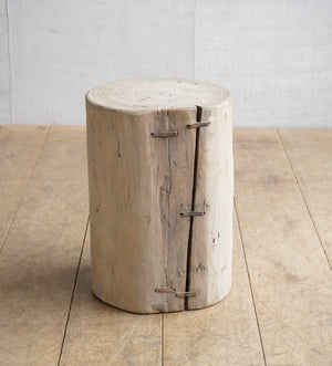 Elm Tree Stump