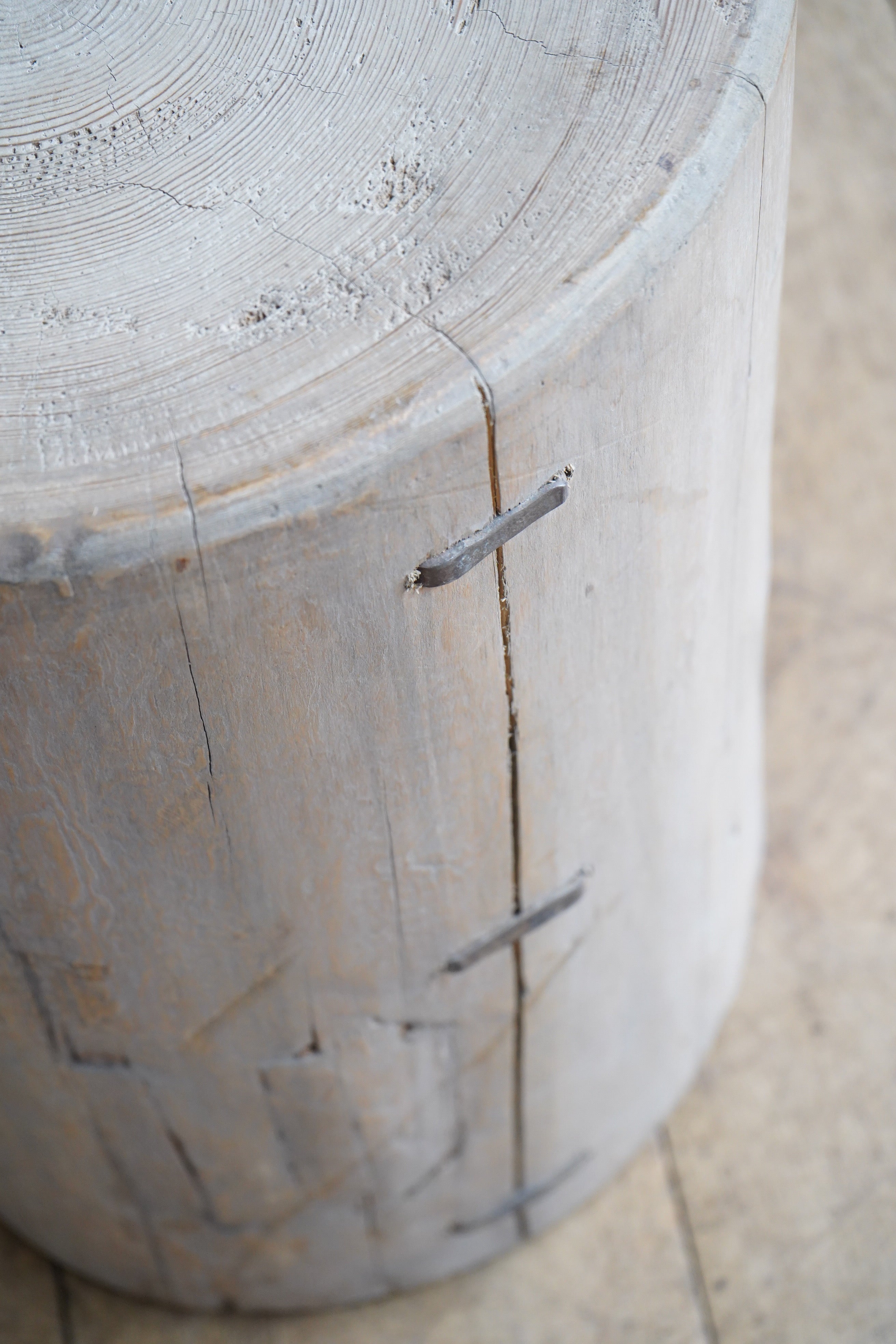 Elm Tree Stump
