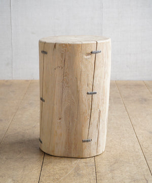 Elm Tree Stump