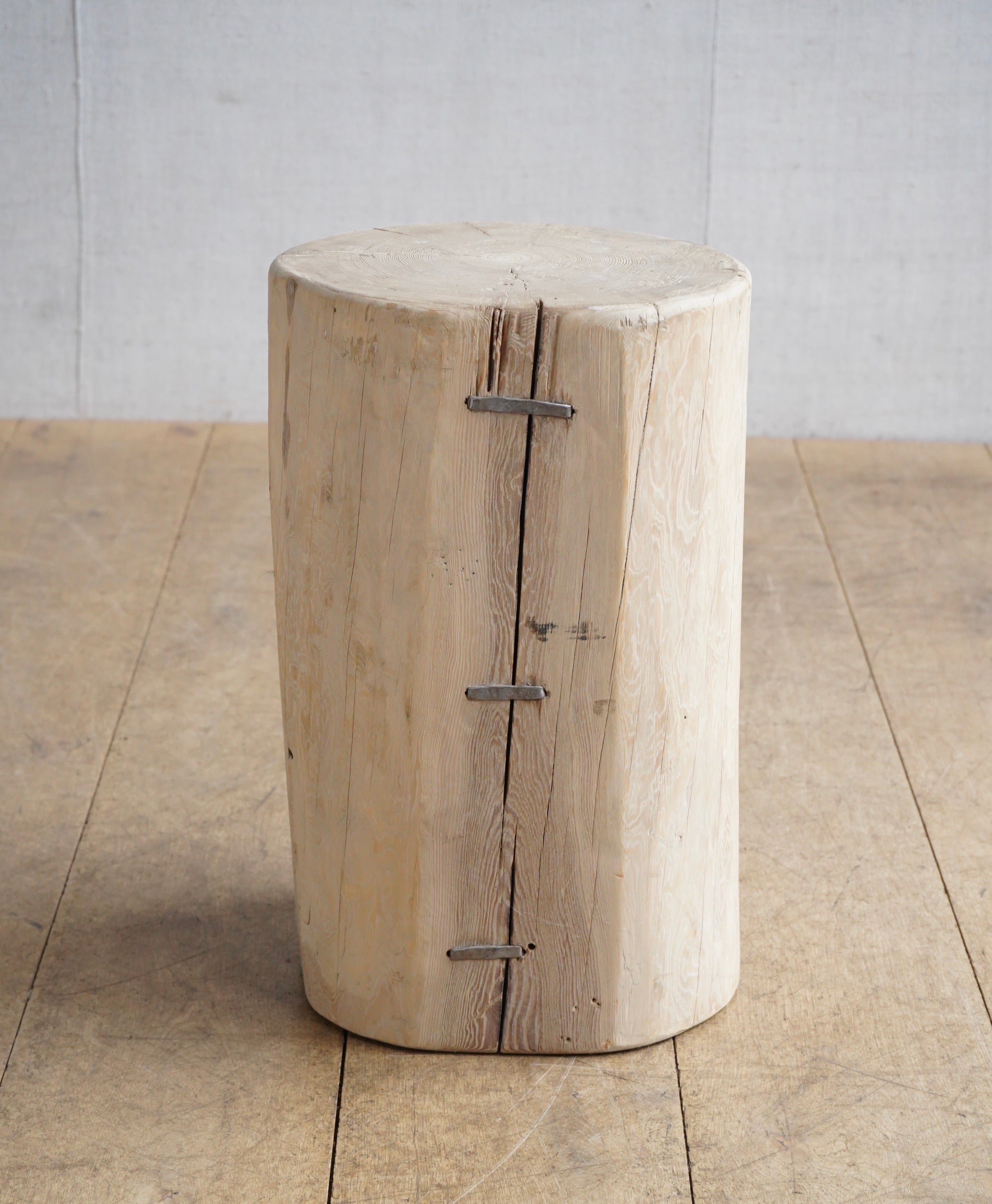 Elm Tree Stump