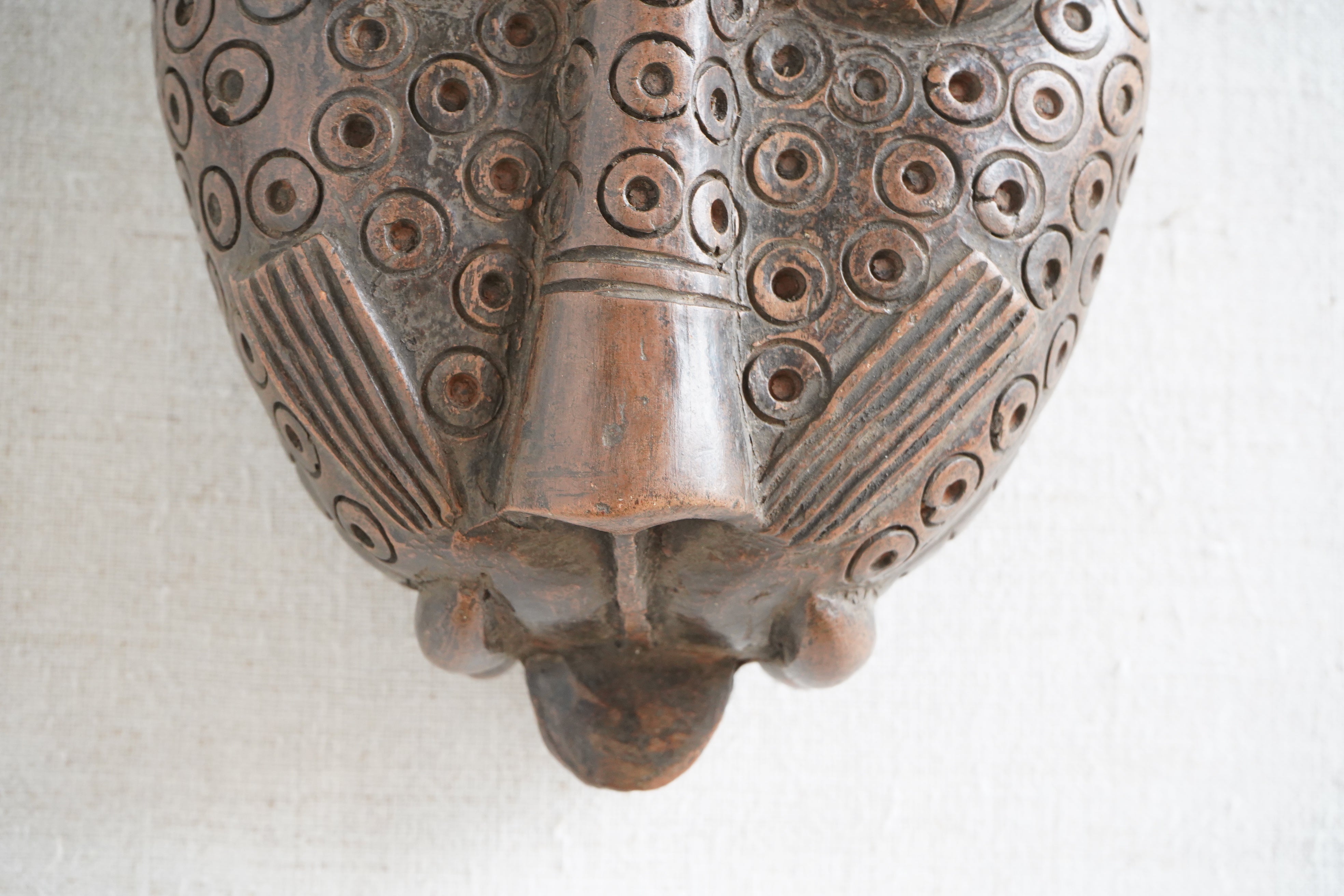 Benin Leopard head