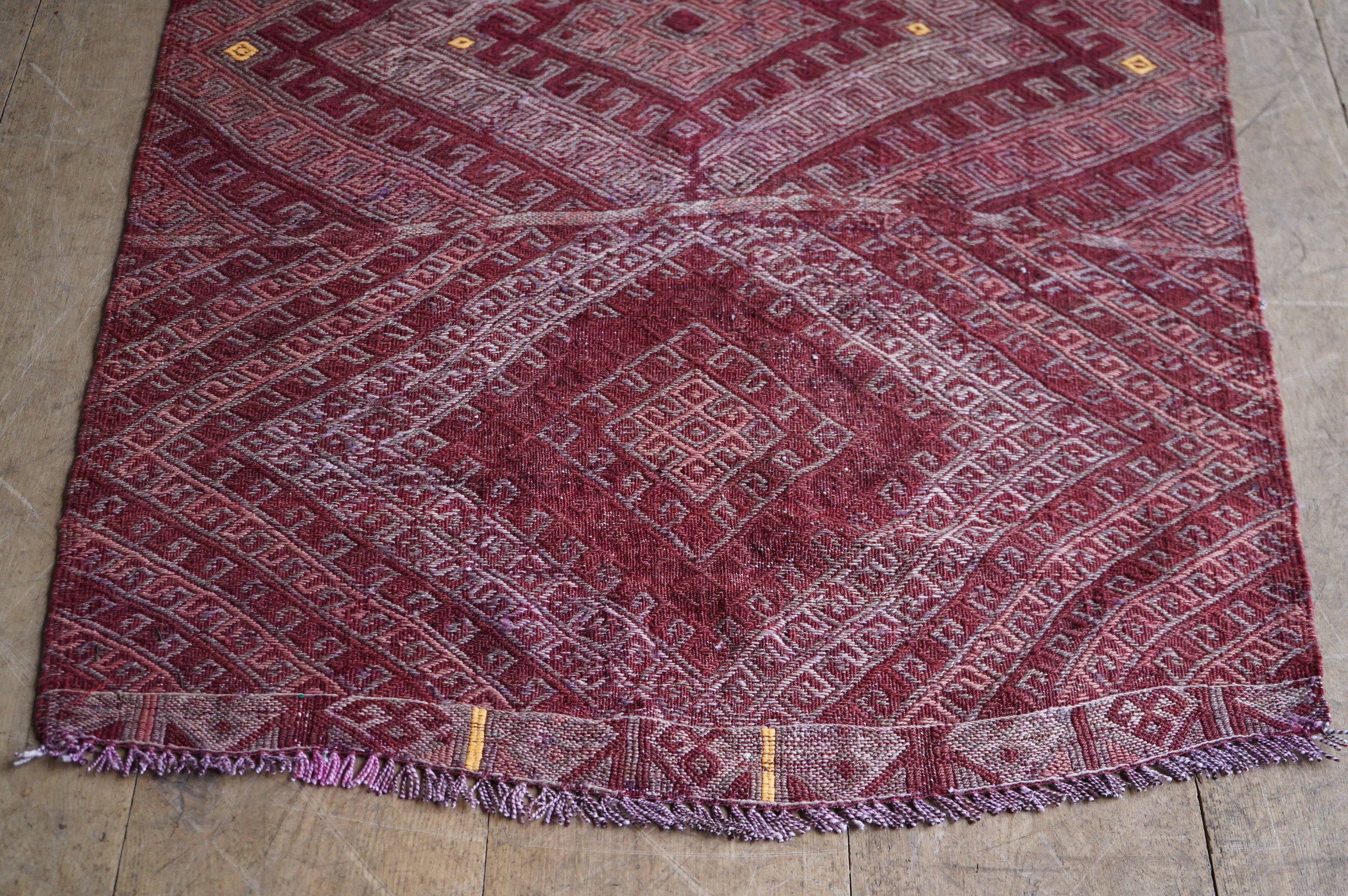 Large Anatolian Runner